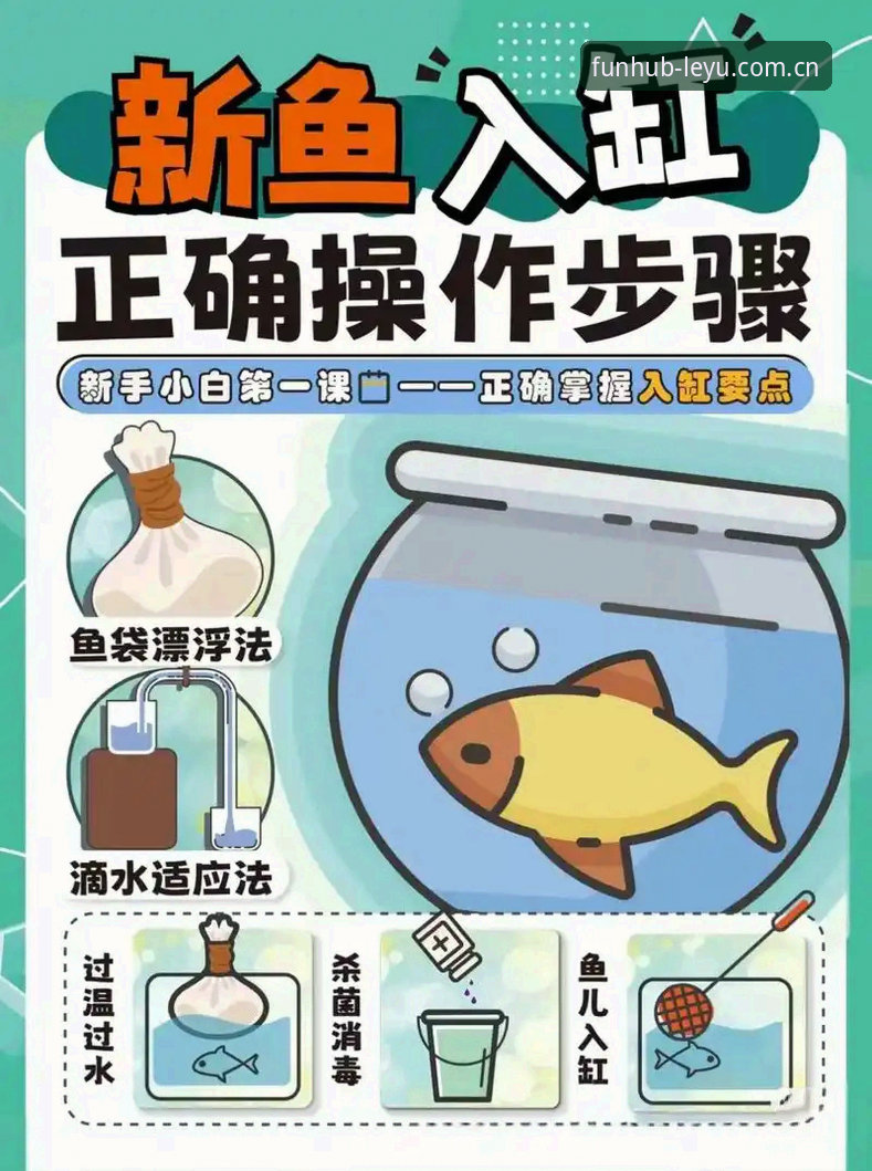 深度揭秘乐鱼官方网站功能详解：新手必看的完整操作指南，让你快速上手