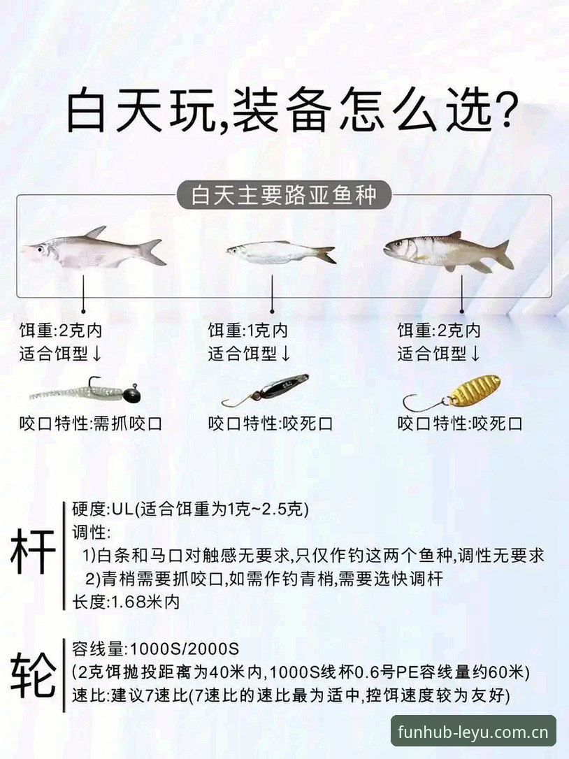 深度揭秘乐鱼官方网站功能详解：新手必看的完整操作指南，让你快速上手